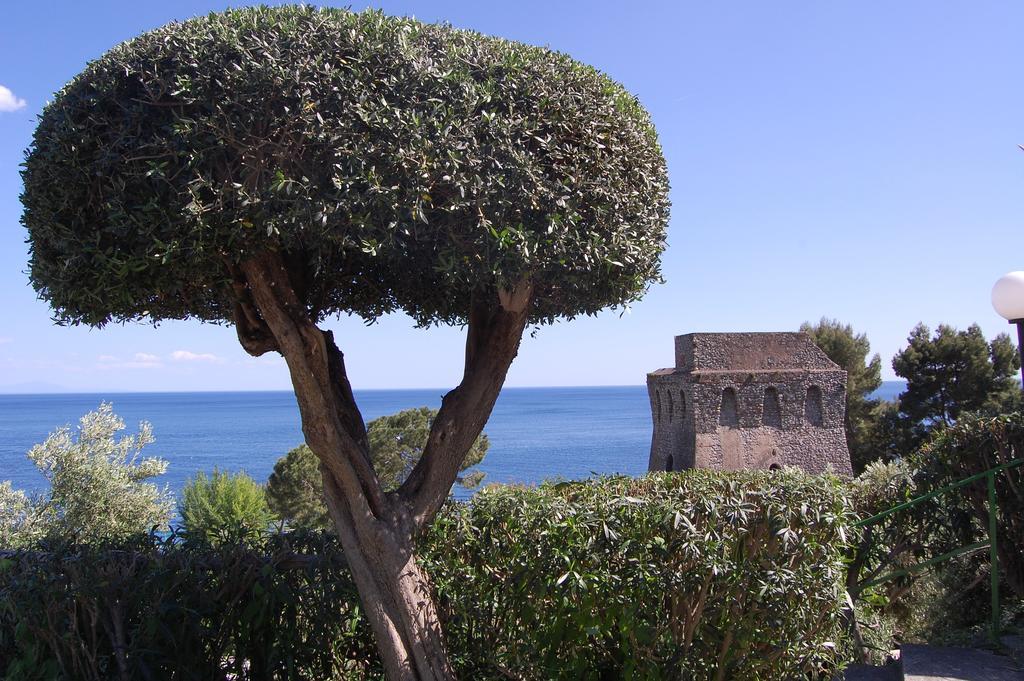 Torre Turbolo Apartments Massa Lubrense Exterior photo
